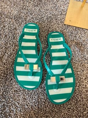 Coach Landon Jelly Flip Flops